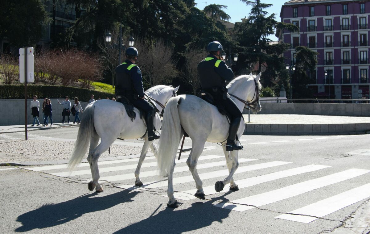 Police Madrid